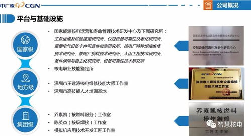 喜訊 公司成功通過國家高新技術企業認定，技術服務獲權威認可