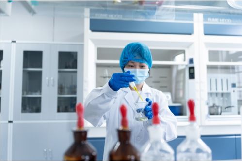 全產(chǎn)業(yè)鏈鑄就卓越品質(zhì)，一站式服務(wù)賦能共贏未來(lái)——康西爺食品的技術(shù)服務(wù)之道