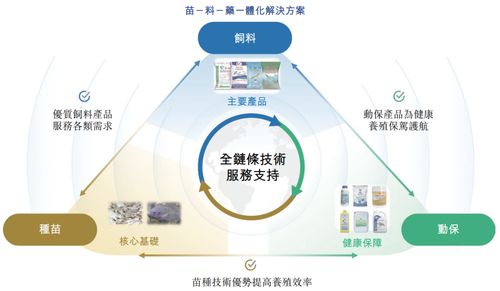 海大國(guó)際遞表港交所 分拆自海大集團(tuán)，2024年凈利潤(rùn)強(qiáng)勢(shì)翻倍