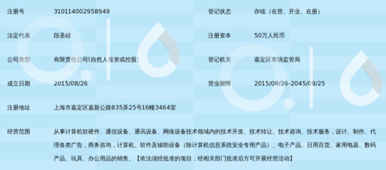 創瀾網絡科技(上海) 商務信息咨詢領域的創新引領者