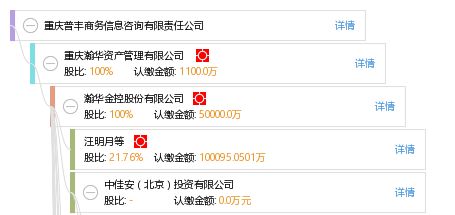 重慶普豐商務信息咨詢有限責任公司 商務信息咨詢服務的領航者